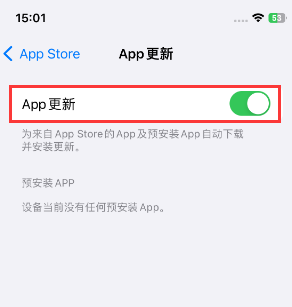 舒城苹果15维修中心如何让iPhone15APP自动更新