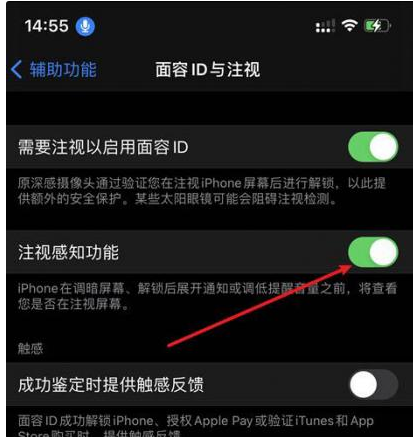 舒城苹果14维修网点分享iPhone14注视感知功能有什么用 
