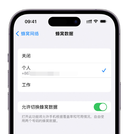 舒城苹果维修服务分享如何在iPhone上使用双卡 