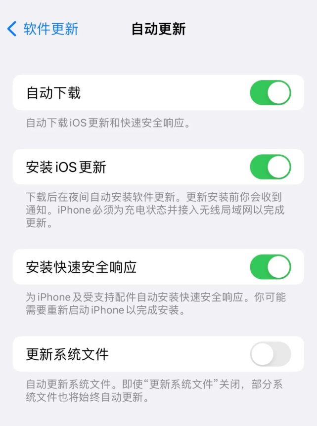 舒城苹果手机维修分享苹果快速安全响应更新有必要安装吗 