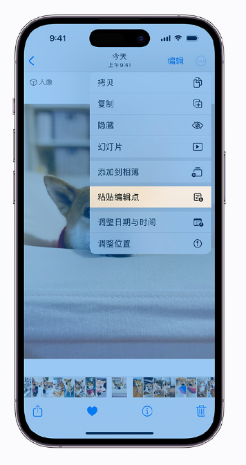 舒城苹果手机维修分享iOS 16 小技巧 