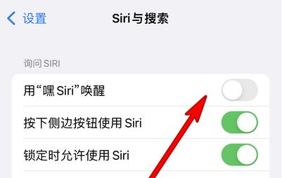 舒城苹果13维修分享iPhone 13怎么唤醒 Siri  