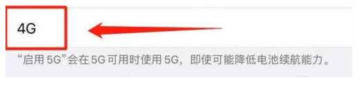 舒城苹果13维修分享iPhone 13恒定4G设置方法 
